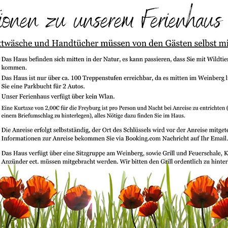 Ferienhaus Traminer Im Weinberg 프레이버그 외부 사진