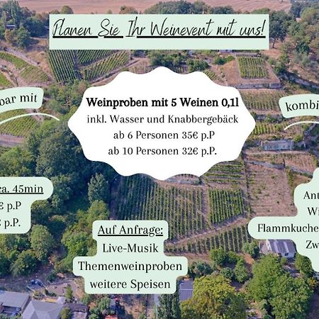 Ferienhaus Traminer Im Weinberg 프레이버그 외부 사진