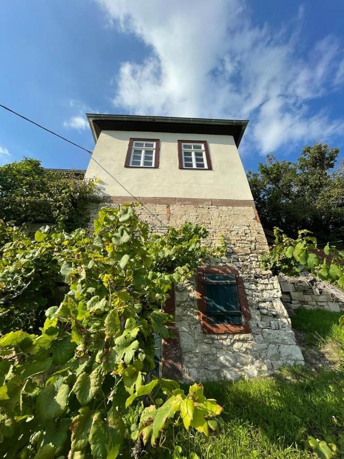 Ferienhaus Traminer Im Weinberg 프레이버그 외부 사진