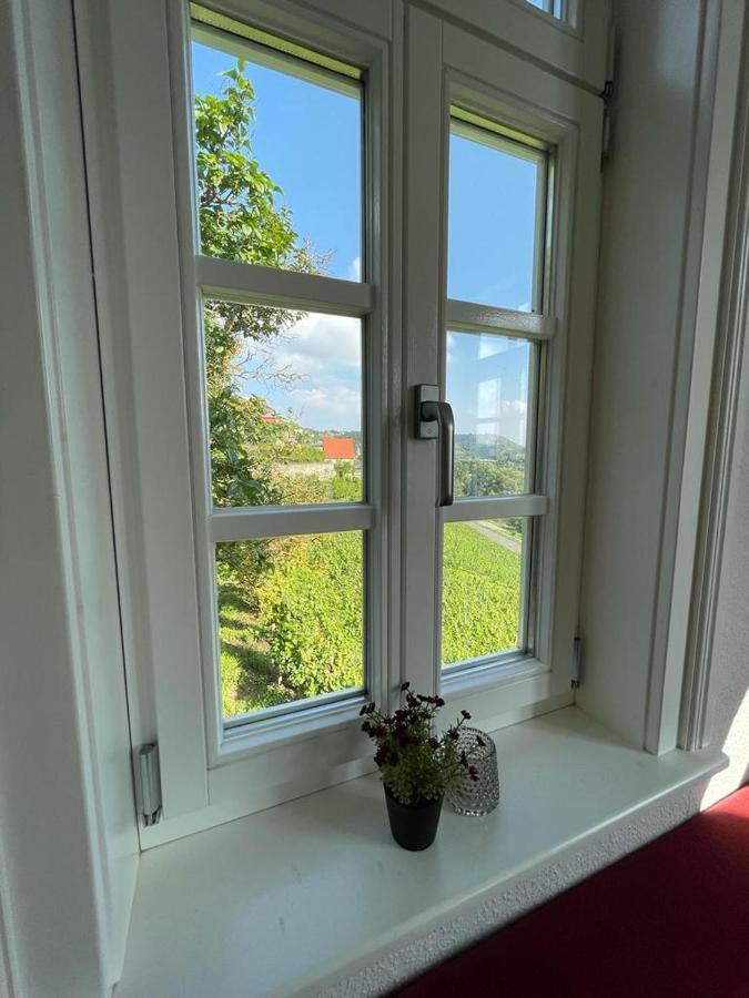 Ferienhaus Traminer Im Weinberg 프레이버그 외부 사진